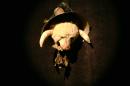 La Menagerie Mecanique 14 * 4368 x 2912 * (4.3MB)
